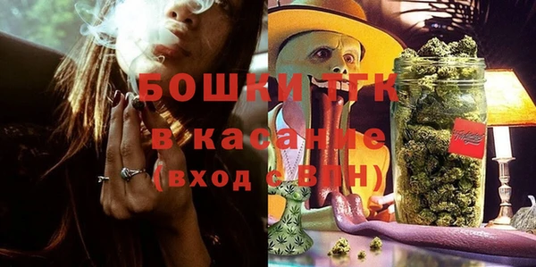 шишки Армянск