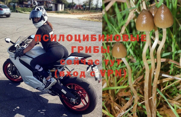 Альфа ПВП Аркадак