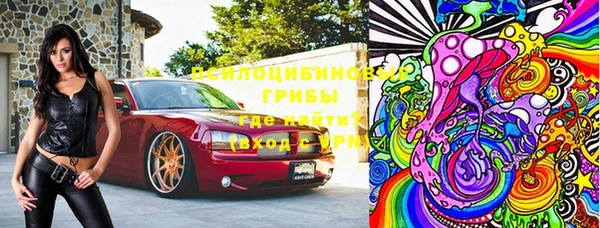 гашик Новодвинск