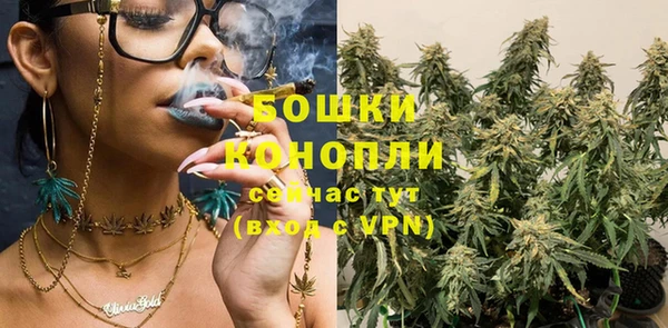 шишки Армянск
